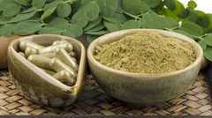 antioxidant revolution – MORINGA OLIEFERA 1200MG 2B – moringa oleifera lose weig