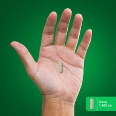 Saw Palmetto 450 mg, 250 Quick Release Capsules