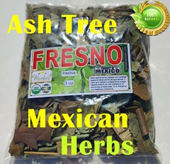 Ash Tree Infusion Te de Fresno 3oz ácido úrico Antirreumático circulación !!!