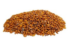 Garden Cress Seeds Lepidium Sativum Halim Chandrasur Chandrashoor حب الرشاد