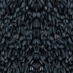 BLACK SEED With Absolutely No Additives Raw Hi Potency 100 Vegetarian Capsules