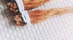 Korean Red Ginseng Root Dried-RED PANAX- Ships from USA | Premium Grade 28g.