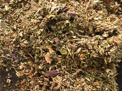 No.45 Herbal Blend Mix Motherwort Leonurus Pink Lotus Clover Skullcap Damiana