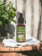 Turkey Tail Tincture – Gut Health
