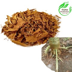 Papaya Root Slices(1-4cm) Dried Organic Carica papaya pawpaw papaia tree melon