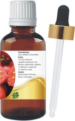 Levenmooi Tomato Seed 100% Solanum lycopersicum Pure & Natural Carrier Oil tp931