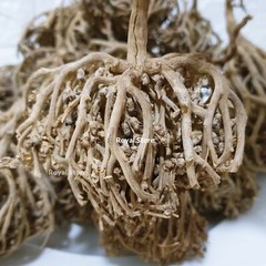 Flower Of Maryam Chaste Tree Herbs Palm Of Mary عشبة كف مريم – Choose weight