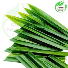Pandan Leaves ground powder Dried Organic Pandanus amaryllifolius Screwpine herb