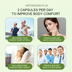 Artemisinin (Sweet Wormwood) Veggie Capsules 100 mg Plus BioPerine 30/60/120Caps