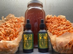 LIONS MANE x CORDYCEPS & REISHI x TURKEY TAIL. DUAL EXTRACT US GROWN -SET