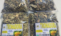 4oz Tronadora (yellow elder/bell),Diabetina, retama, tecoma stans, Tronadora Tea