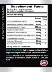 detox body cleanse – ASTRAGALUS ROOT COMPLEX 770mg – body detox cleansers 3 Bot