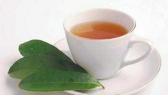 Soursop Graviola Pure Leaf Tea by YOKABA – 50 TEA BAGS – Annona Muricata