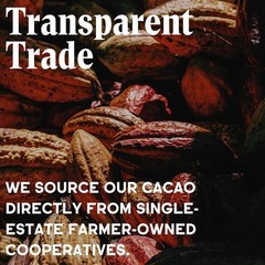 Chocolate Organic Cacao Powder – Unsweetened, Non-Alkalized, Perfect for Baking