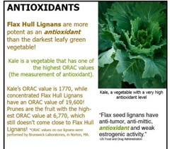 ORIGINAL : Flax Hull Lignans / 5oz Powder from Organic Flax. 3 pack 15oz total