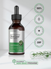 Olive Leaf Extract Liquid Herbal Drops Vegetarian Non-GMO Concentrated 2 fl oz