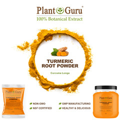 Turmeric Root Powder 2.5 lb Jar Curcumin Curcuma Longa 2 1/2lb Bulk Spice