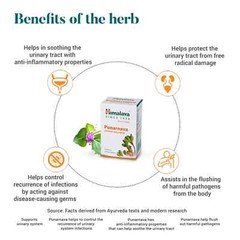 Himalaya Herbal Punarnava 60 Tabs For Urinary Wellness Exp 2027