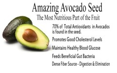 180 Avocado Seed Powder Capsules -Digestion,Blood Sugar,Cholesterol,Gut Bacteria