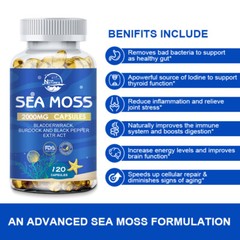 Organic Sea Moss Capsules for Kids & Adults, Vegan Irish Seamoss, 240 Capsules