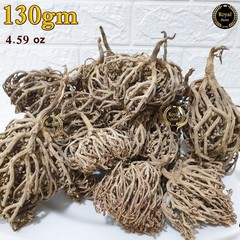 130g Flower Of Maryam 4.59oz Chaste Tree Herbs Palm Of Mary عشبة كف مريم