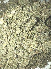 Damiana & Catnip WHOLESALE BULK Herbal Leaf Natural Blend Mix Tea – 5 lb Pounds