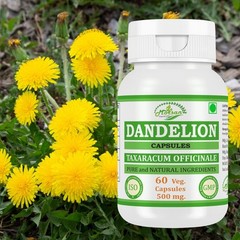 Dandelion (Taraxacum officinale) Capsules Herbal Supplement Pack 240 Veg Capsule