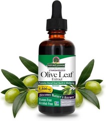 Nature’s Answer Olive Leaf Extract – Non-GMO, Alcohol-Free, 2 Ounce for Wellness