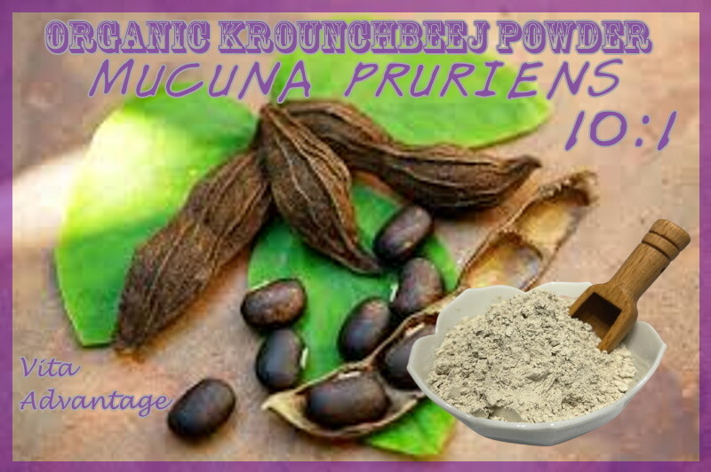 L-DOPA 100% PURE Levodopa Mucuna Pruriens Powder USP NonGMO USA 10:1