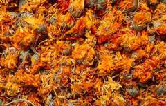 Calendula Marigold Floral Pieces or Powder 1/4/8 oz | Natural Skin Support
