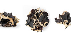 White Fungus Tremella 1/4/8oz – Dried Pieces | Skin & Immune Support