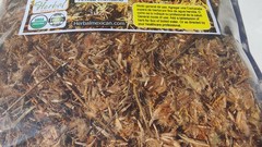 Arnica Herbal Infusion Tea Flor de Arnica montana Te Natural Arnika Mexican Herb