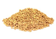The Spice Way Fenugreek Seeds – Whole (8 oz) great for Indian curry seasoning