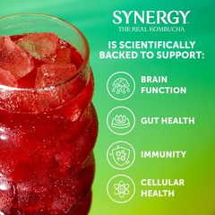 Synergy The Real Kombucha Trilogy, 16 fl oz