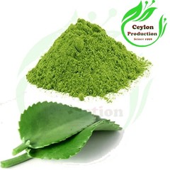 Kalanchoe Pinnata Leaves Powder Natural Herbal Plant Fine Ground Powder