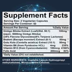 Ginkgo Biloba Improve Blood Circulation Improves Memory Brain Function 120 Pills