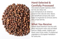 Whole Hawthorn Berries Dried Crataegus Monogyna – Herbal & Culinary Use
