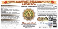 Angelica (Angelica Archangelica) Tincture. Alcohol-Based. Hawaii Pharm.