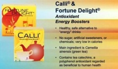 60 BAGS Sunrider CALLI Mint Flavor Concentrated Herbal Tea EXP 2027 FREE SHIP