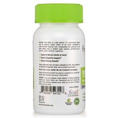 Yerba Mate Extract Capsules 10:1 Stimulant Energy Booster Fat Burn Immune Boost