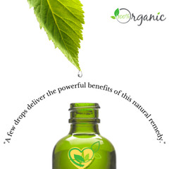 Echinacea Purpurea Non-Alcohol Extract Organic Liquid Drops 2 oz Immune Tincture