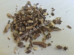 Dandelion, Taraxacum officinale, All Natural Root ~ Schmerbals Herbals