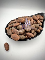 Raw Criollo Whole Cacao Beans 25g-4,9kg – Theobroma cacao