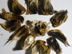 2x Doug’s black fermented)garlic 100g (about4oz) polyphenoles,and S-allylcystei
