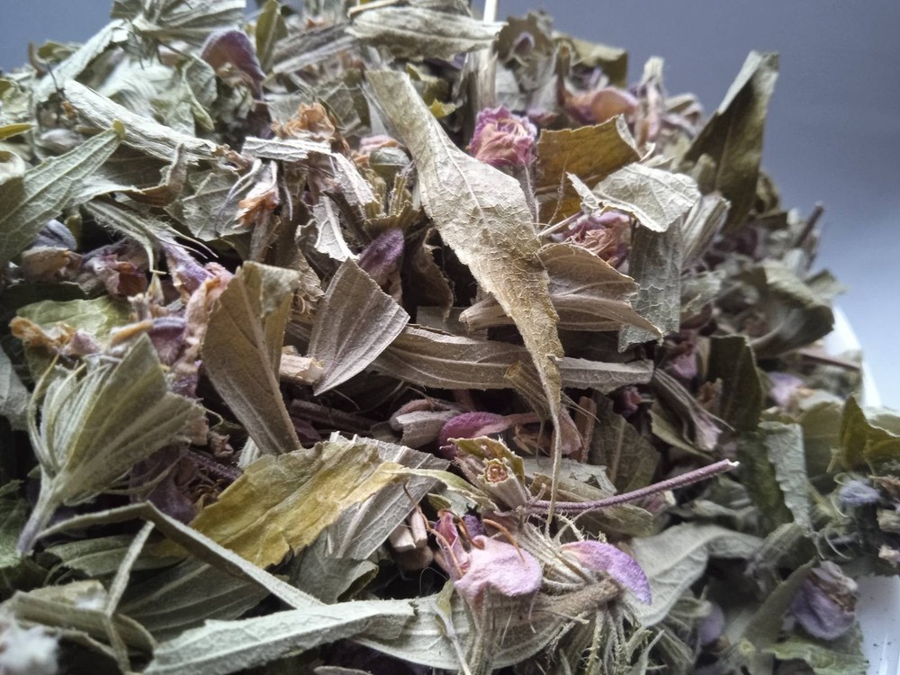 5 Kg 176.4 Oz Jerusalem sage Phlomis pungens Grass Dried Medicinal plant