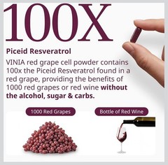 2x VINIA Piceid Resveratrol Red Grape Blood Pressure/Flow Heart Care Antioxidant