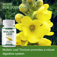 100% Natural Mullein Leaf Capsules Extra Strength Detox Cleanse Lung Health 60pc