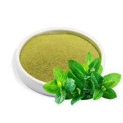 Dried Mint Leaves Powder | Pudina | Peppermint | Mentha Leaf Organic Herb Spice