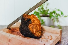 Pure birch Chaga Mushroom small ready to use chunks, harvested in remote areas