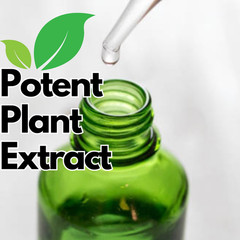 Lemon Balm Extract Non-Alcohol Liquid Herb Drops Organic Natural Aid 2 oz
